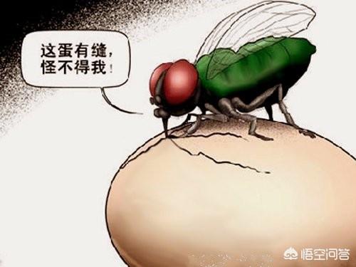 已婚少妇每天找男朋友聊天，正常吗求解答～谢谢