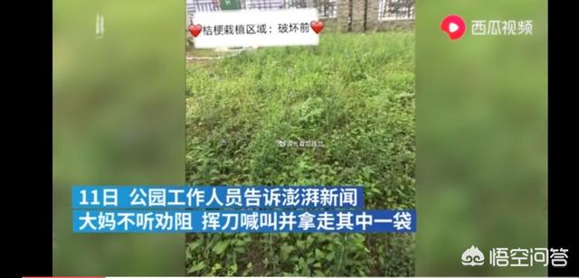 清溪政府广场砍人:大家对番禺广场砍人事件怎么看？
