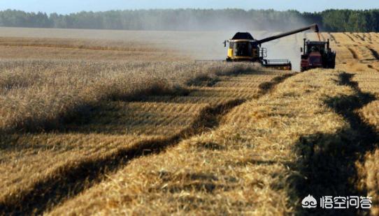 中国为什么不去俄罗斯租地种大豆？插图5