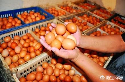 鸡蛋涨价的因素有哪些？