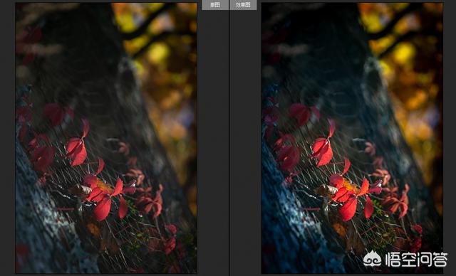 头条问答 能用前后对比照片 展示一下你的p图成果吗 美颜和美景都可以哦 41个回答