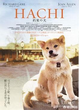 秋田犬八公的主人是日本人吗:秋田犬八公的主人是谁 哪些影视剧背后是有真实故事的？