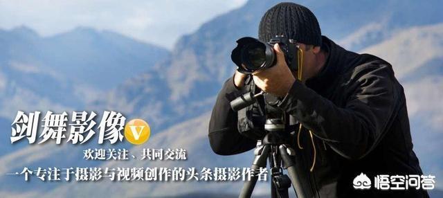 四款定焦镜头/ 35、50、85、135mm分别适合拍什么？插图15