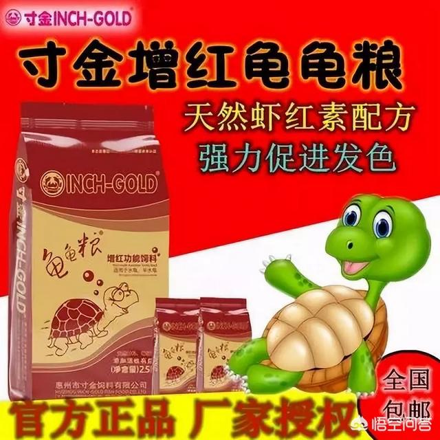 火焰龟药:想养一只乌龟，二百块以下的有什么推荐？