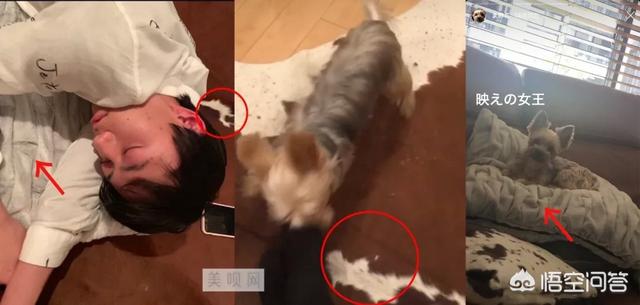 罗霈颖整容对比照:如何看待私生整容后追到爱豆这件事？