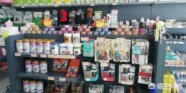 昆明宠物美容店加盟店:加盟开个宠物美容店怎么样？
