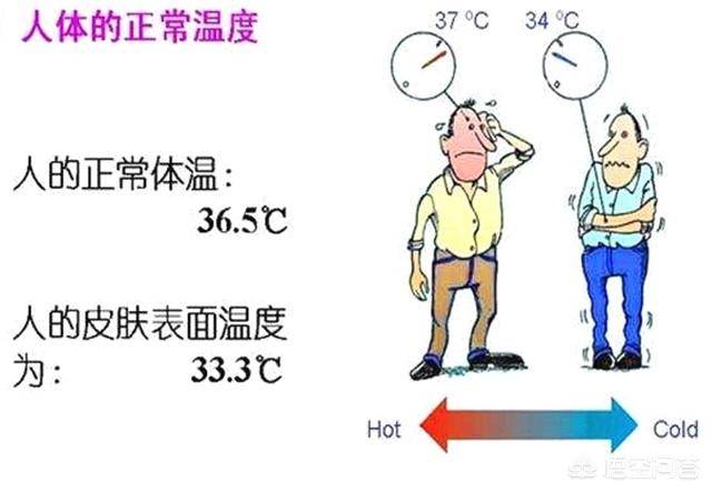 正常体温的范围:正常体温的范围是多少 100斤左右的猪发烧41度左右，但精神挺好的是什么病？