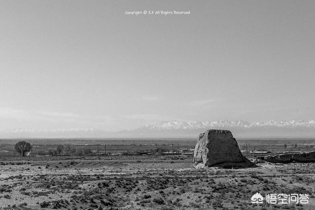 四款定焦镜头/ 35、50、85、135mm分别适合拍什么？插图22