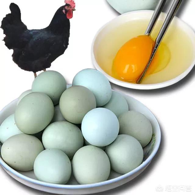 哪种蛋类营养更好，野鸡蛋、乌鸡蛋、土鸡蛋中，哪种鸡蛋好吃营养好