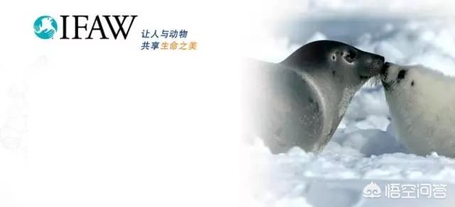 <a href=https://maguai.com/list/256-0-0.html target=_blank class=infotextkey>朋友圈</a>文案配图知乎:文案在人间，牛X的文案你见过几条？