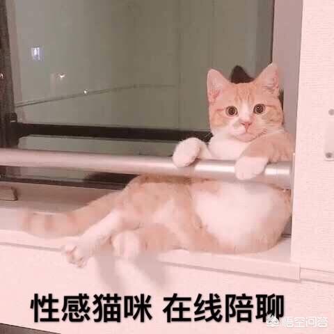哪几个通用的聊天开场白能让你和女生畅聊无阻、感情升温？