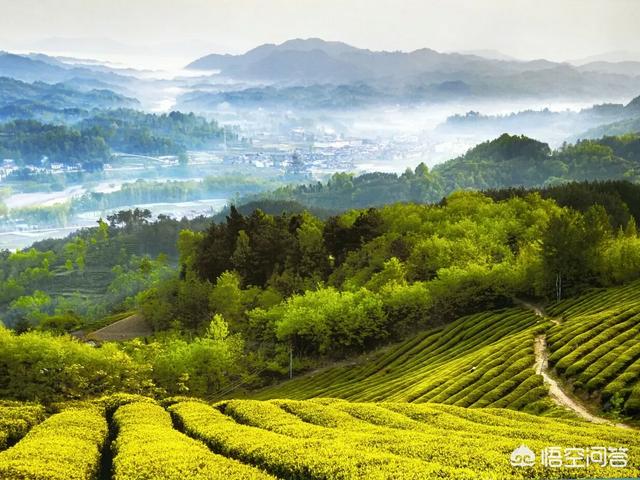 你最喜欢的一句遗世独立、不食人间烟火的诗词是什么？