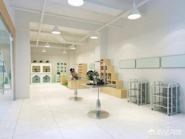 宠物美容师工资:学宠物美容怎么样？有前景吗？