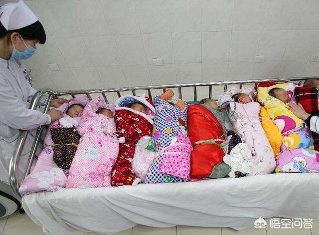母猪生小孩:为什么说今年是生育高峰年有什么寓意你会选择跟风要孩子吗