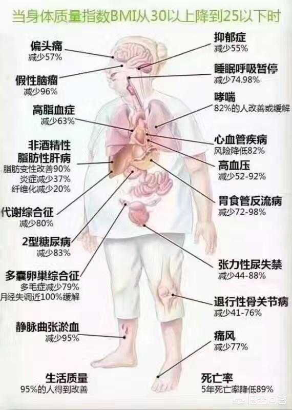 为什么体质测试中要计算BMI呢？