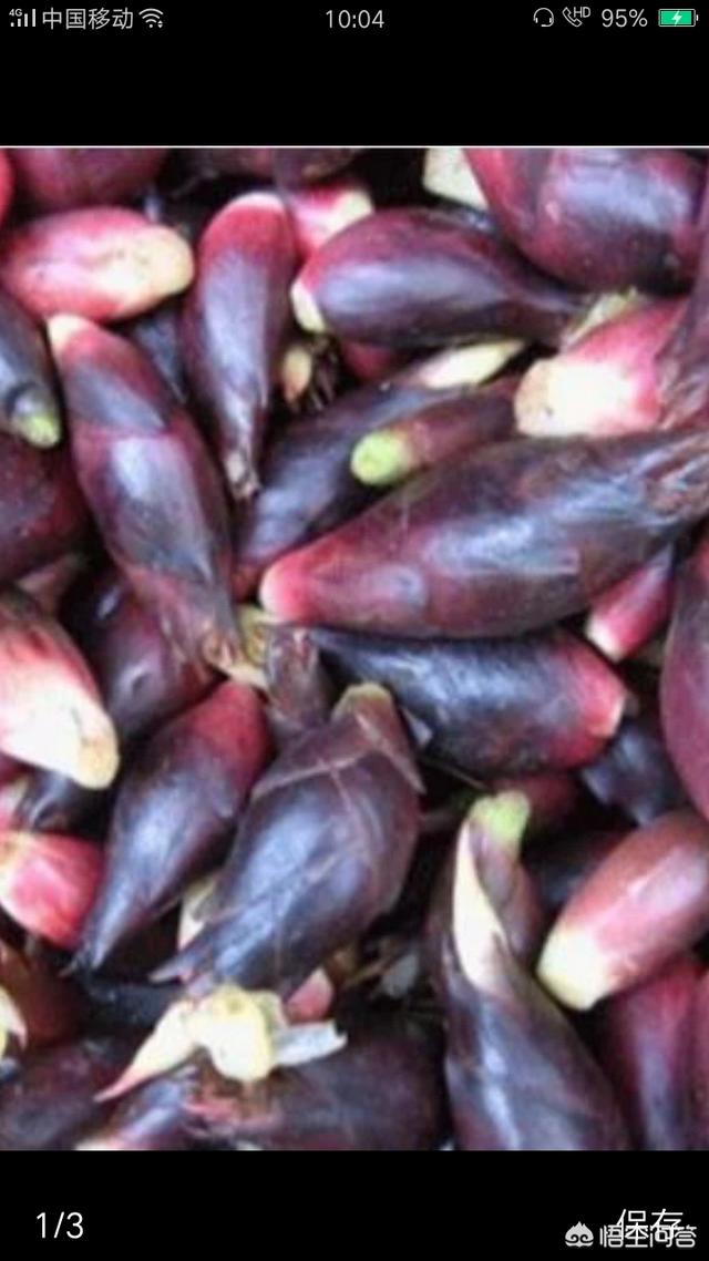 洋荷姜适宜在四川种植吗,前途靠谱吗？市场价大概是多少？