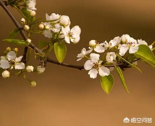 “君生我未生,我生君已老”是一种什么样的感受？
