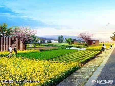 名宠社项目策划书:2019年，农村合作社如何做才能发展好，挣到钱？
