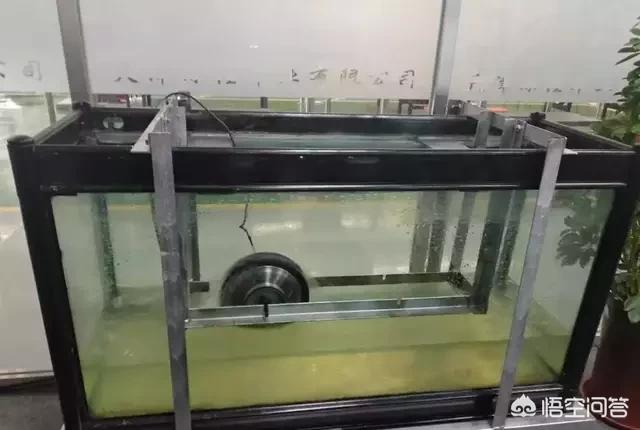 哪个电动车牌子用的电机比较好？有骑过的说下感受？