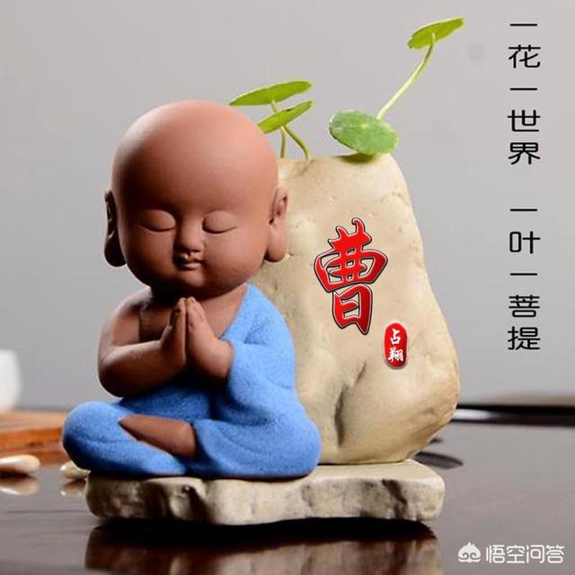 有没有比较逗比的头像？