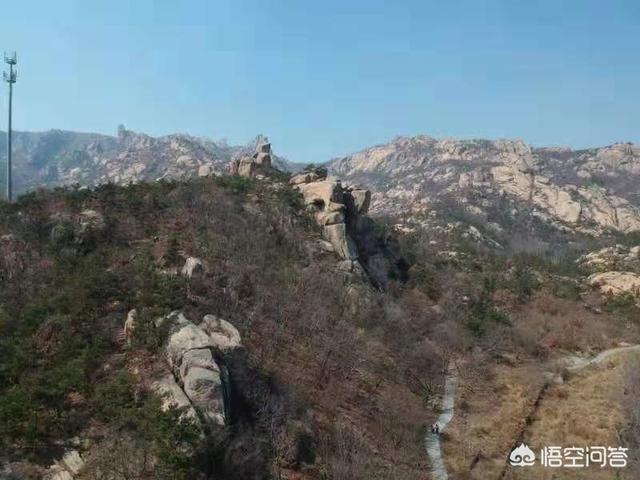 燕京獒园瞎彪:梁山好汉真的都是好汉吗？ 长春燕京獒园刘德全
