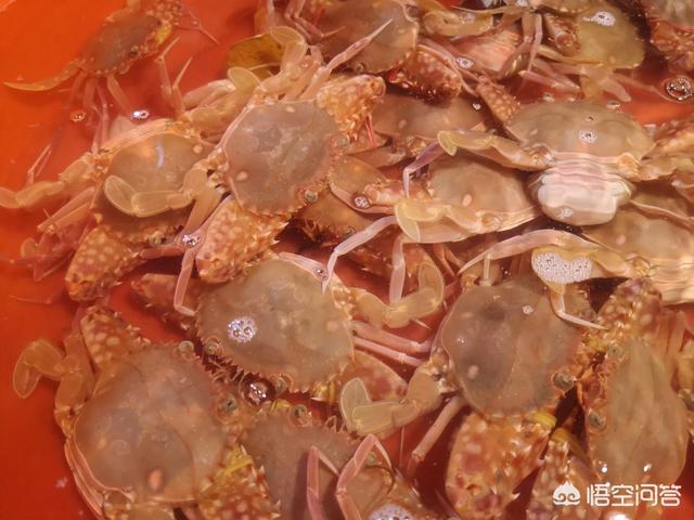 浙江海边<a href=https://maguai.com/list/52-0-0.html target=_blank class=infotextkey>旅游</a>推荐:浙江哪里可以<a href=https://maguai.com/list/52-0-0.html target=_blank class=infotextkey>旅游</a>，看到大海的？
