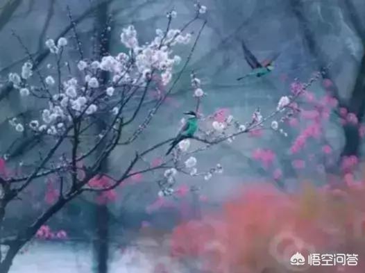 摄影师林德伯格去世:说到拍摄人像，你会首先想到怎样的照片