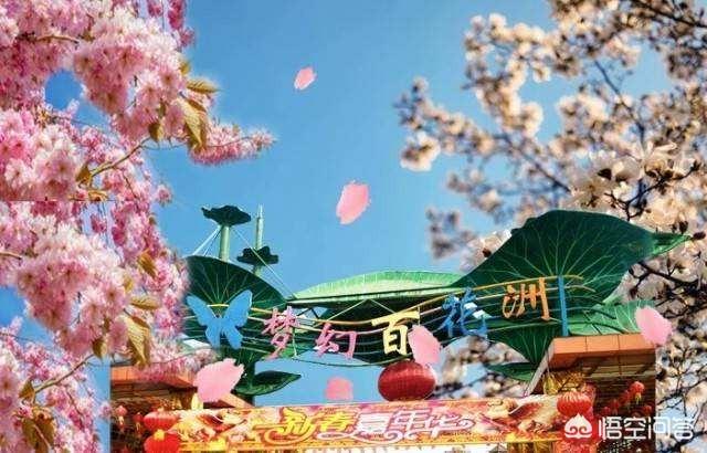 东莞有哪些赏花的好地方？