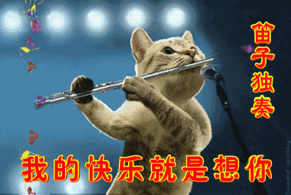 最喜欢听孙燕姿的歌,你最喜欢听哪位女歌手的歌曲？