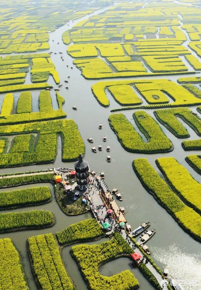 四月花团锦簇、万紫千红,各种花争芳斗艳,请说出你觉得最美的花景？
