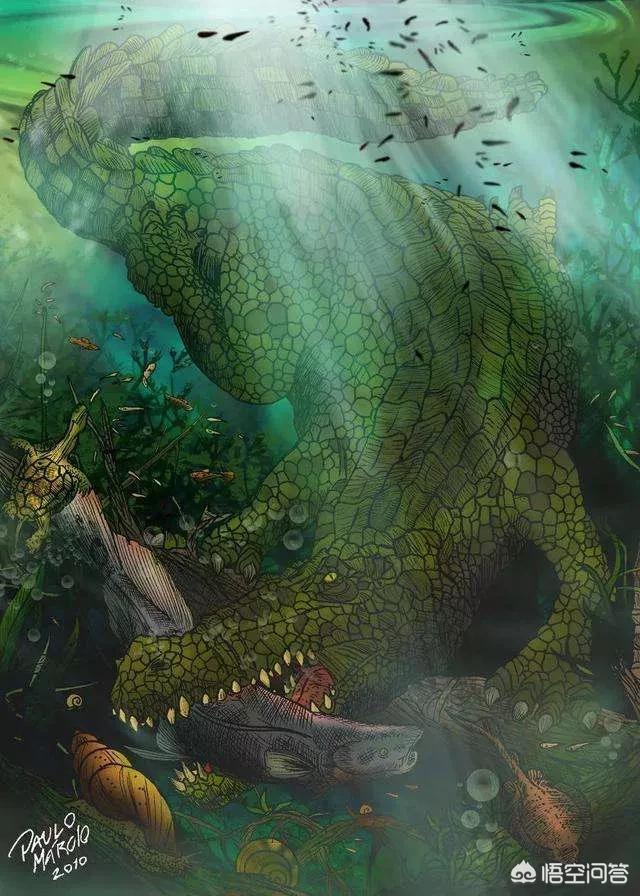 恐龙灭绝后人类出现前的地球，曾经出现过哪些生物圈霸主？