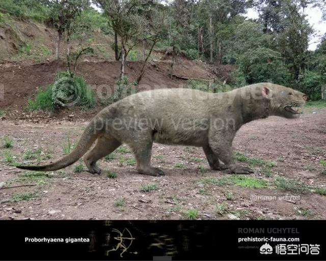 十大灭绝的可怕古生物，恐龙灭绝后人类出现前的地球，曾经出现过哪些生物圈霸主