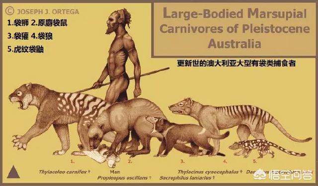 恐龙灭绝后人类出现前的地球，曾经出现过哪些生物圈霸主？