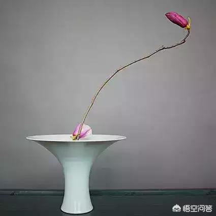 王鸥老公是谁:对于现在明星夫妻出轨你们怎么看