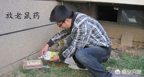 超声波驱狗器能穿透吗:超声波驱狗器对狮子老虎有效吗？