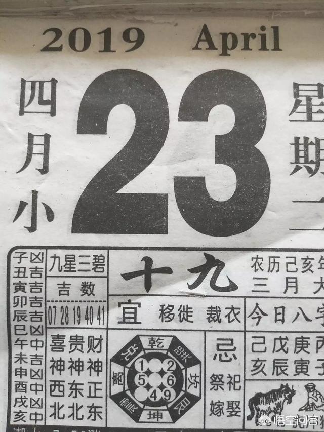 有关写春天的诗,流传千古的佳句是什么？