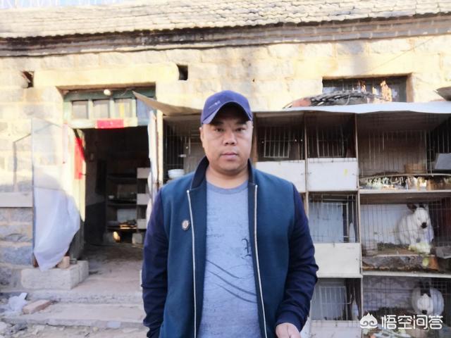 湖北搞什么家庭养殖业比较赚钱:在农村房屋室内三百平方做什么养殖好？