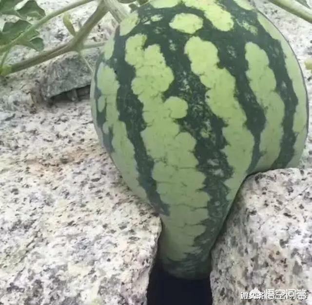 古人云,男人三十而立,四十不惑。八零后的我们应该怎样理解？