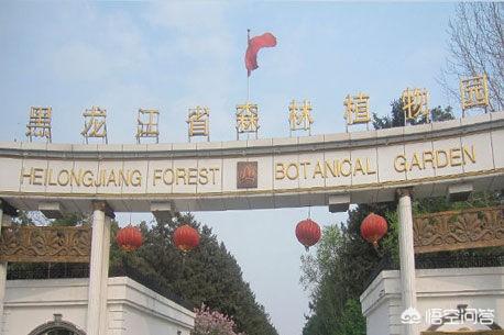 陈翰章头颅:我国近代史上的少数民族英雄有哪些？你如何评价这些人？