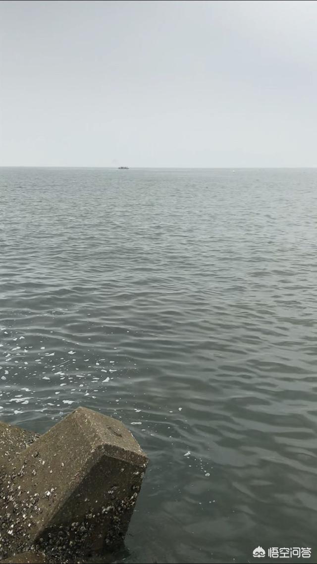 什么潮水适合海钓？