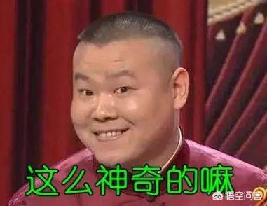 食蛇蛙:道教的影响为什么没有那么大？