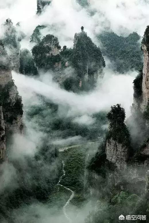 北非沙鼠要多大的笼子:现代人患焦虑症的多吗？哪方面的压力更容易让人焦虑？