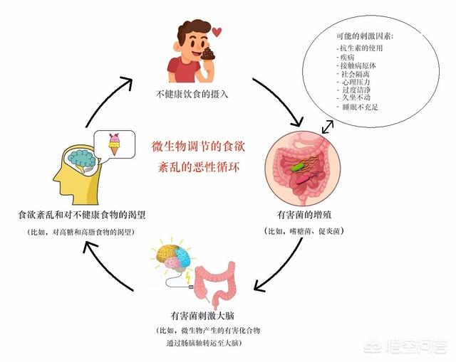 食源性肠道疾病:有些食物会引发肠道病变，到底是哪些呢？