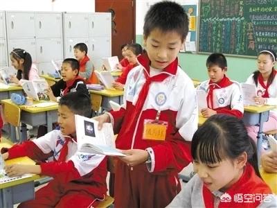 高清报告狗班长1:如何提高金毛犬对主人的服从性？