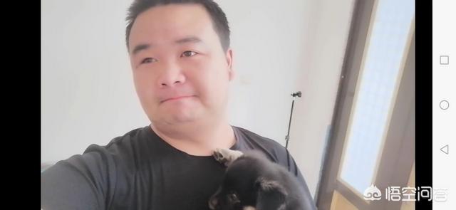 怎么教会狗狗罚站:狗狗犯错后一般是什么反应？