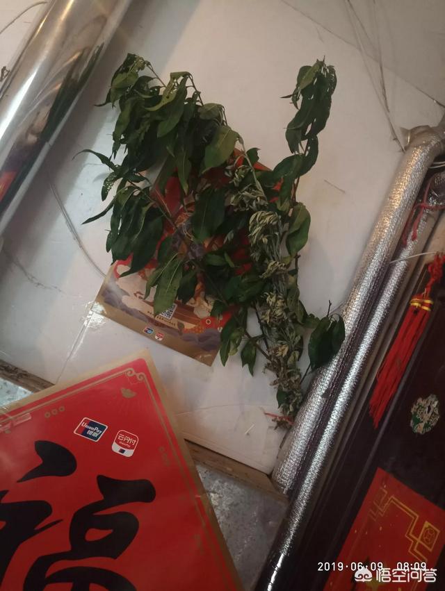 端午，为何说安康不说快乐？
