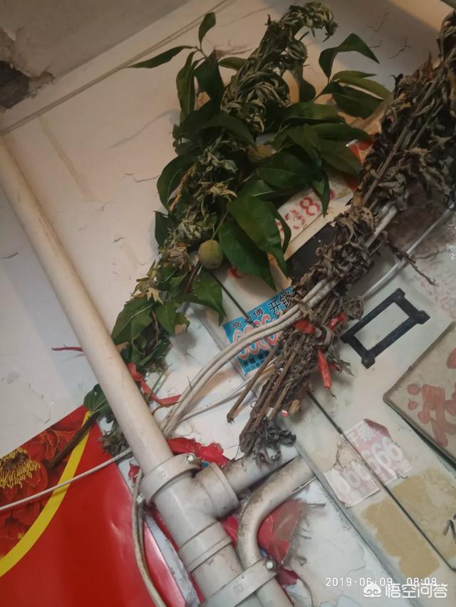 端午，为何说安康不说快乐？