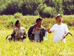 人物关系最乱的电视剧是哪一部？插图17