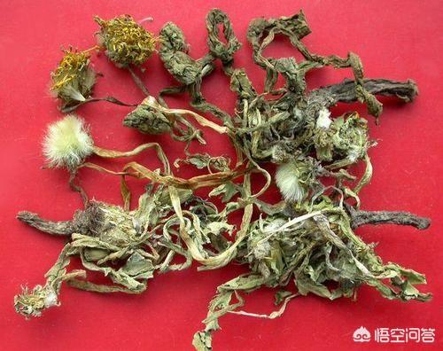 脖子被毒虫咬了怎么办:被无名虫子咬了出现肿，麻，打消炎针不管事怎么办?还晕出虚汗？