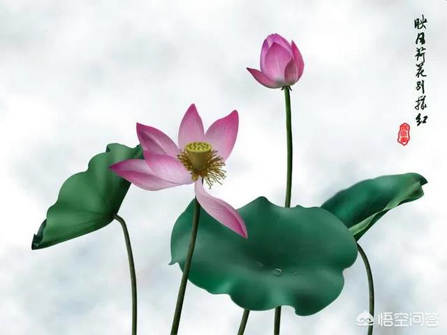 吴三省和解连环:解连环真的在西沙墓死了吗